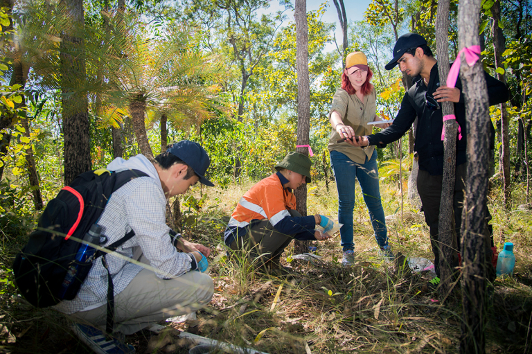 Environment students collecting seeds