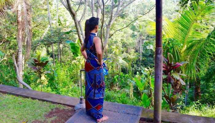 Green and lush tropical Balinese landscape with a person looking out into it