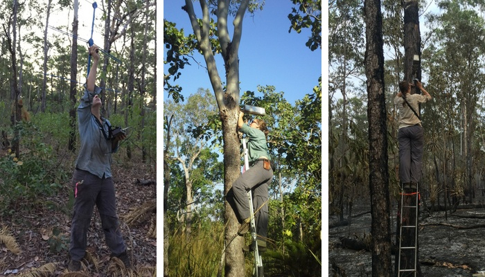 CDU Student Alyson climbing trees