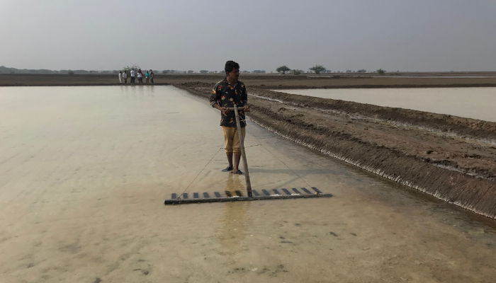 dion%20morrow%20-%20ewb%20study%20trip%20-%20india%20-%20salt%20farming