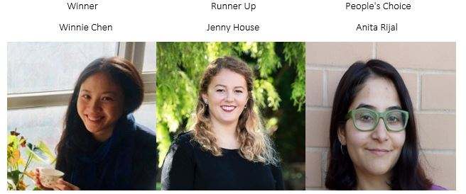 Visualise your Thesis Winners