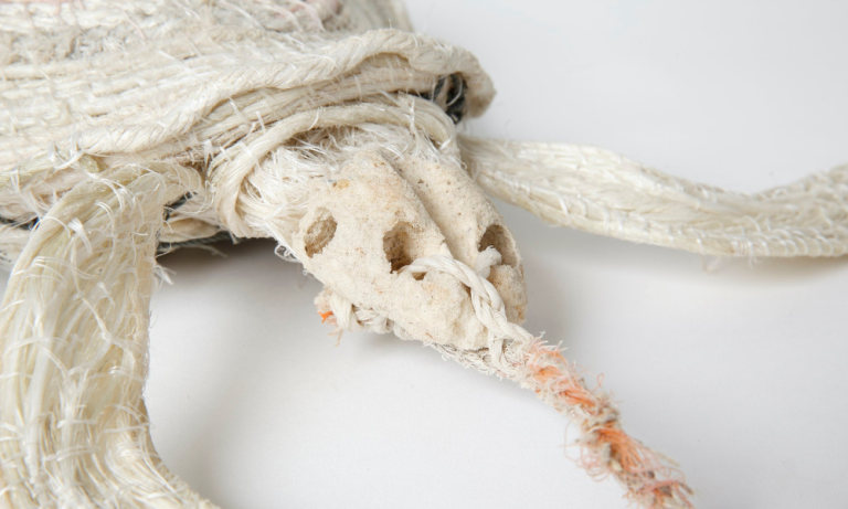 Aly de Groot's ghost net sea turtle artwork