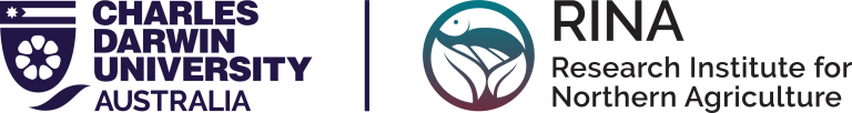 Rina logo
