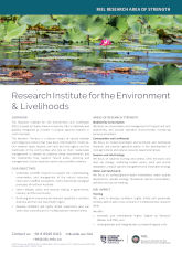 RIEL overview flyer thumbnail