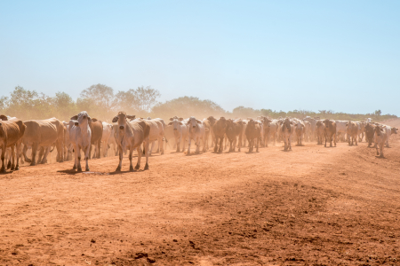 agricultural-research-funding-boost