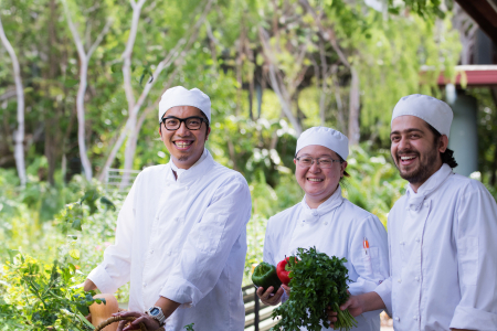 Palmerston Open Day promo