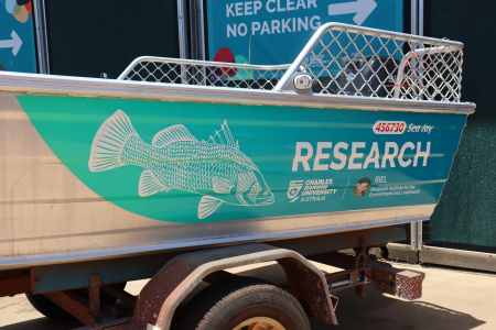 The vessels were recently freshened up with wraps inspired by local wildlife.