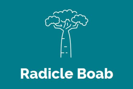 Radicle Boab Logo