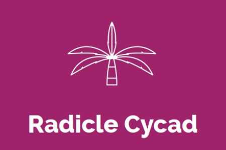 Radicle Cycad Logo