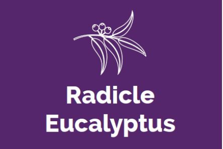 Radicle Eucalyptus Logo
