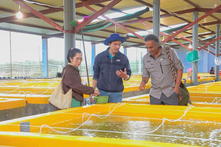Charles Darwin University’s Professor Sunil Kadri (pictured right) is working with Nha Trang University’s Institute for Aquaculture and Can Tho University’s College of Aquaculture and Fisheries to drive better welfare outcomes for juvenile pompano. Picture: Pompano Welfare Project Team, Institute of Aquaculture, Nha Trang University