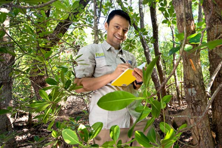 PhD candidate Sigit Sasmito’s research is helping climate change policy makers better understand blue carbon