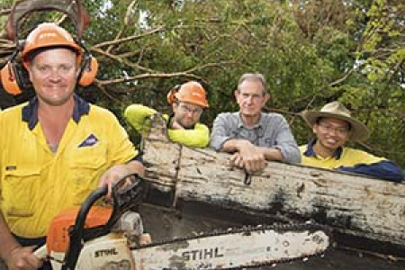 Jensen Norris, Bob Maxwell, Aidan Oakley, Bill McGuinness and Khai Liang Khor at the fallen Banyan Fig near the university library