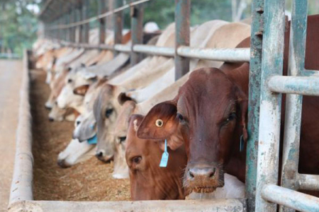 Charles Darwin and James Cook Universities are looking at ways to re-frame the way goods are moved around the North and to Asian customers