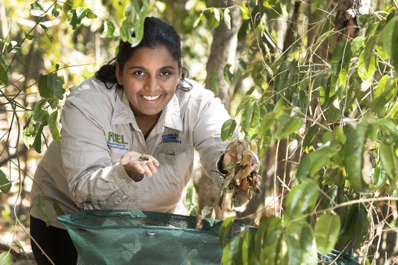Dr Vidushi Thusithana