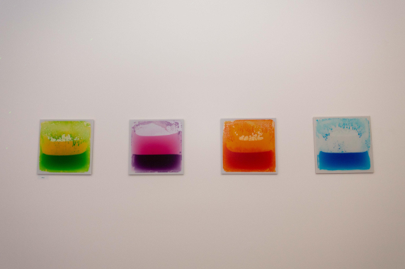 a wall with 4 images