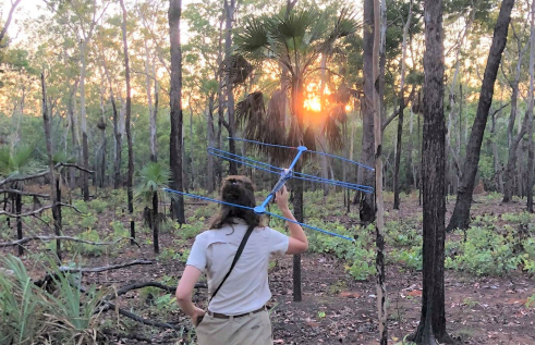 Mapping weed spread (RIEL image only)
