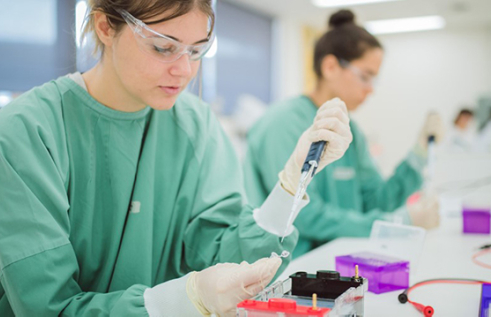 Two biomedical scientists in the lab
