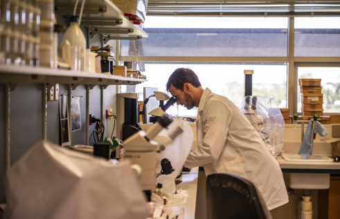 CDU PhD candidate Brien Roberts is studying barramundi 