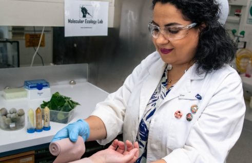 Dr Saki in the laboratory