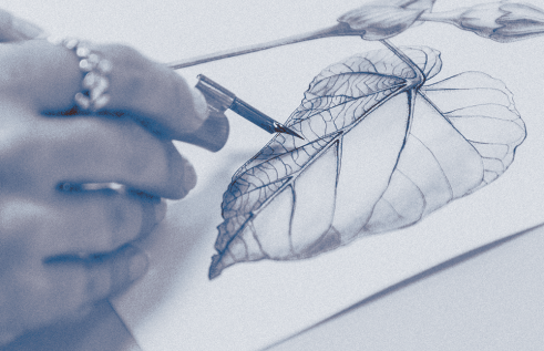 Artist drawing detailed Leaf